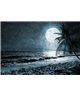 Into The Mood MD253615