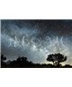 Into The Mood MD253760