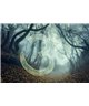 Into The Mood MD253775