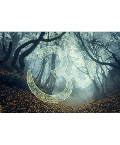 Into The Mood MD253775