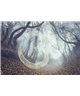 Into The Mood MD253780
