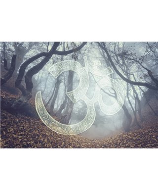 Into The Mood MD253780