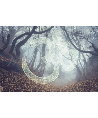 Into The Mood MD253780
