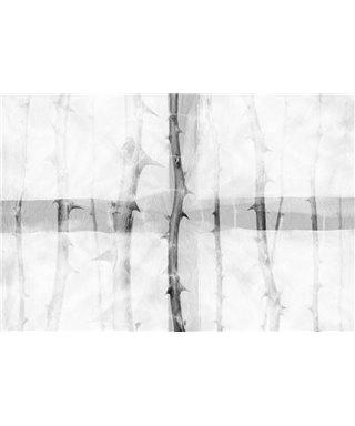 Into The Mood MD253860