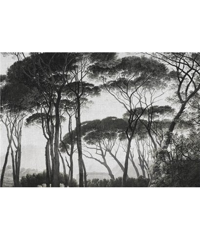 Into The Mood MD253875