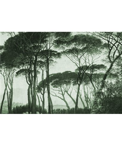 Into The Mood MD253880