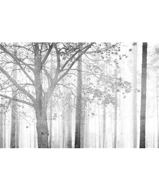 Into The Mood MD253945