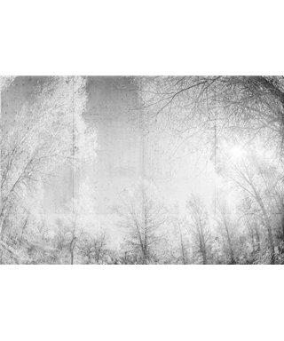 Into The Mood MD649020