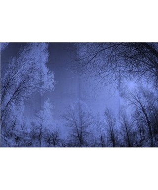 Into The Mood MD649025