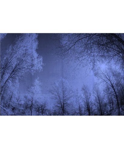 Into The Mood MD649025
