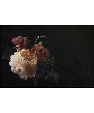 Into The Mood MD649520