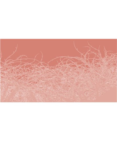 Into The Mood MD915785