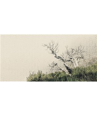 Into The Mood MD915895