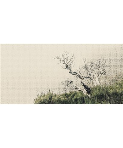 Into The Mood MD915895