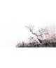 Into The Mood MD915900