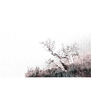 Into The Mood MD915900