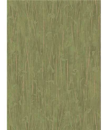 Paradisio 2 10123-07