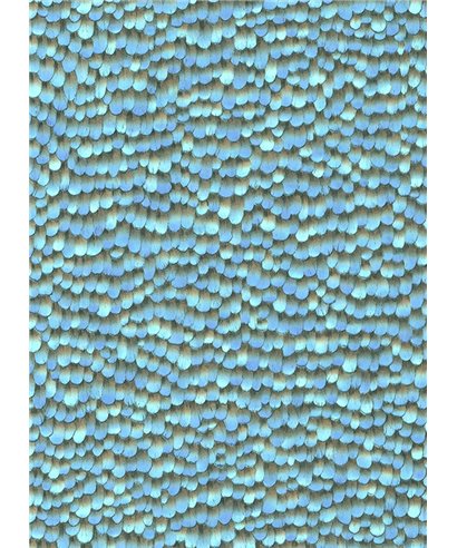 Paradisio 2 10129-08