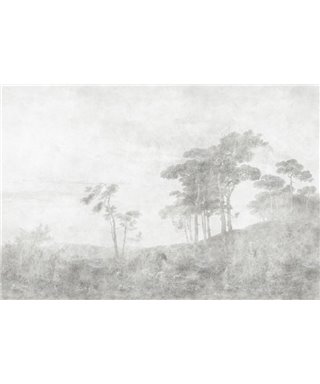 Walls By Patel 3 DD121968