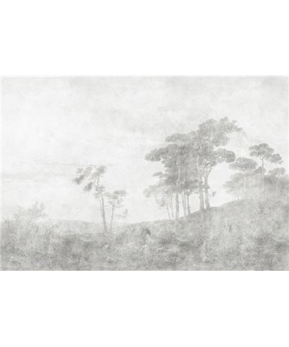 Walls By Patel 3 DD121970