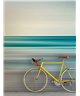 Walls By Patel 3 DD122113