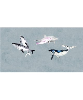 Walls By Patel 3 DD122011