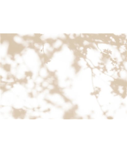 Walls By Patel 3 DD122038