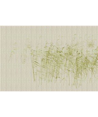 Walls By Patel 3 DD122052