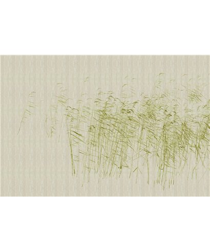 Walls By Patel 3 DD122055