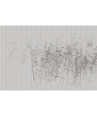 Walls By Patel 3 DD122056