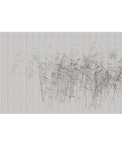 Walls By Patel 3 DD122057