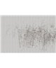 Walls By Patel 3 DD122058