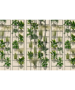 Walls By Patel 3 DD122089