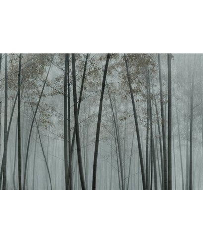 Walls By Patel 3 DD122100