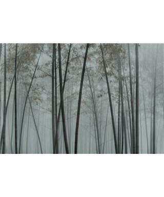 Walls By Patel 3 DD122101