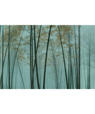 Walls By Patel 3 DD122109
