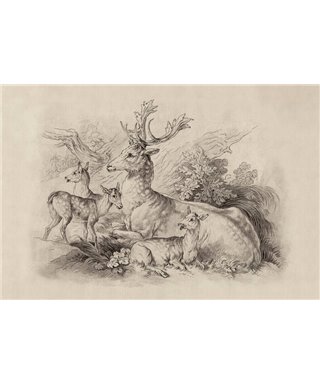 Walls By Patel 3 DD122382