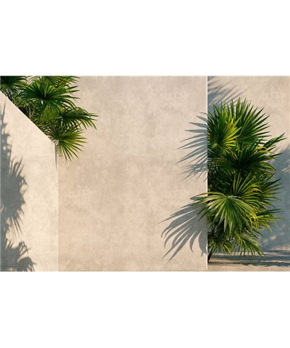 Walls By Patel 3 DD122839