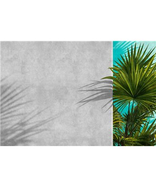 Walls By Patel 3 DD122840