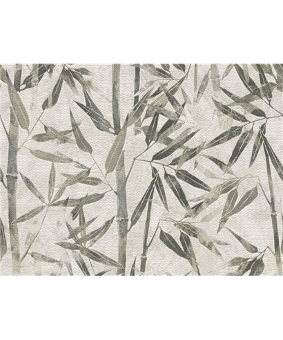 Lamborghini 2 Z90034