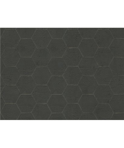 Lamborghini 2 Z90043