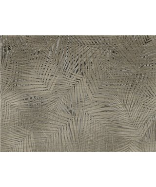 Lamborghini 2 Z90065