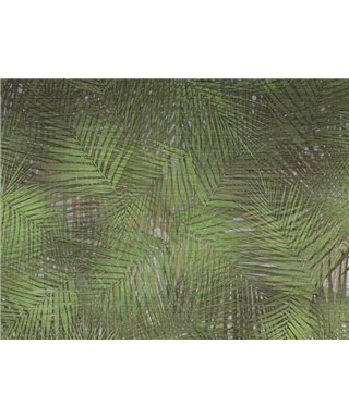 Lamborghini 2 Z90067