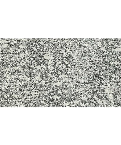 Roberto Cavalli 8 - RC19035