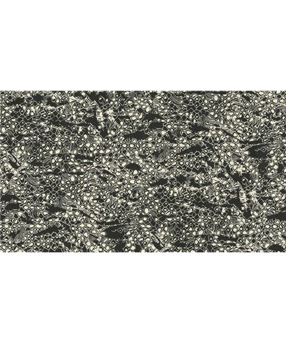 Roberto Cavalli 8 - RC19036