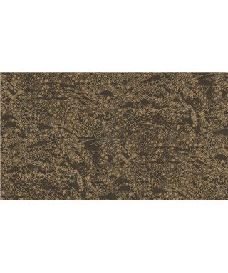 Roberto Cavalli 8 - RC19040