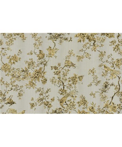 Roberto Cavalli 8 - RC19044