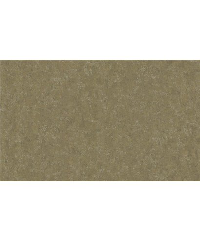 Roberto Cavalli 8 - RC19053