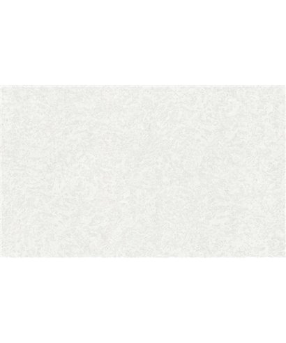 Roberto Cavalli 8 - RC19056