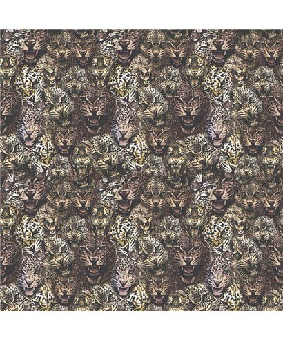 Roberto Cavalli 8 - RC19103